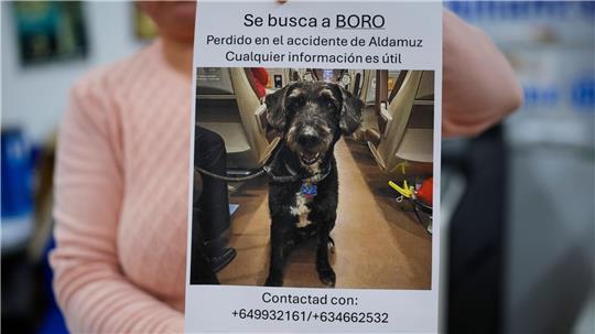 Über diese Familienzusammenführung freut sich ganz Spanien.