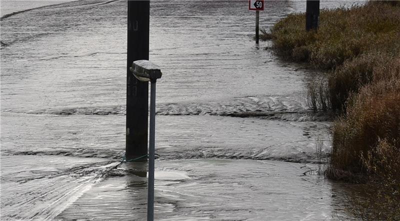 Überall Schlick in der Este. Foto: Vasel