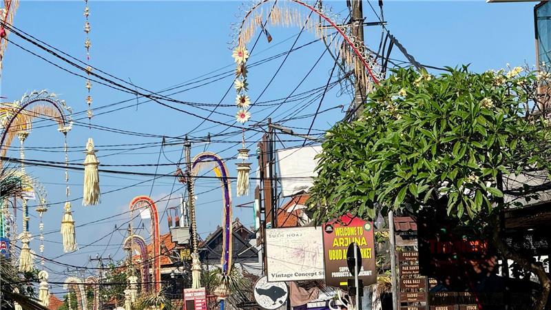 „Galungan“-Fest: Bali feiert die Rückkehr der Ahnen Überall waren die charakteristischen Penjor aufgestellt – aufwendig geschmückte Bambusstangen.