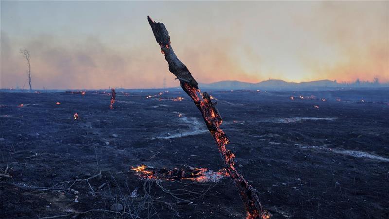 Waldbrände in Südeuropa – Menschen fliehen vor den Flammen Übrig bleibt nach den verheerenden Bränden oft nur verkohlte Wüste.