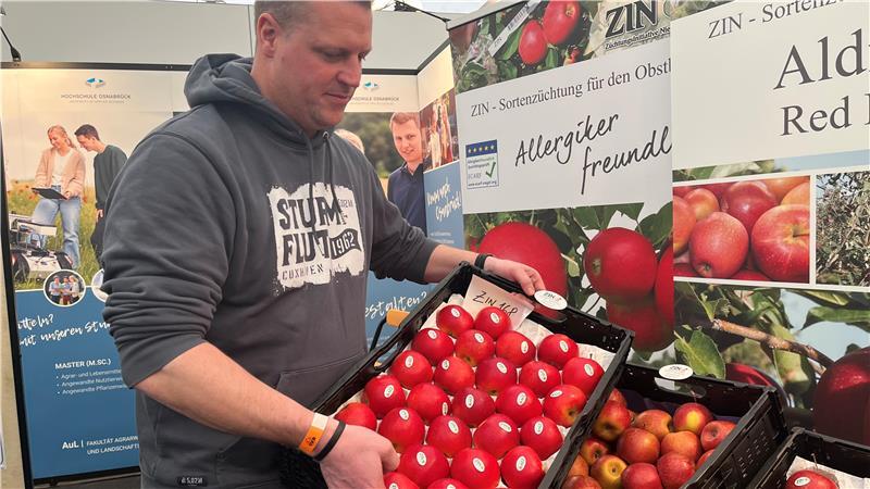Ulrich Buchterkirch hatte die allergenarmen ZIN-Äpfel bei der Messe der Norddeutschen Obstbautage 2025 in Jork immer im Blick.