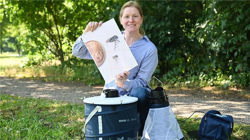 Gefährliche Tigermücke: Niedersächsisches Gesundheitsamt bittet um Mithilfe „Um mehr Informationen über die Verbreitung von Tigermücken in Niedersachsen zu gewinnen, sind wir auch auf die Unterstützung jedes Einzelnen angewiesen“, sagt Fachtierärztin Sonja Wolken.