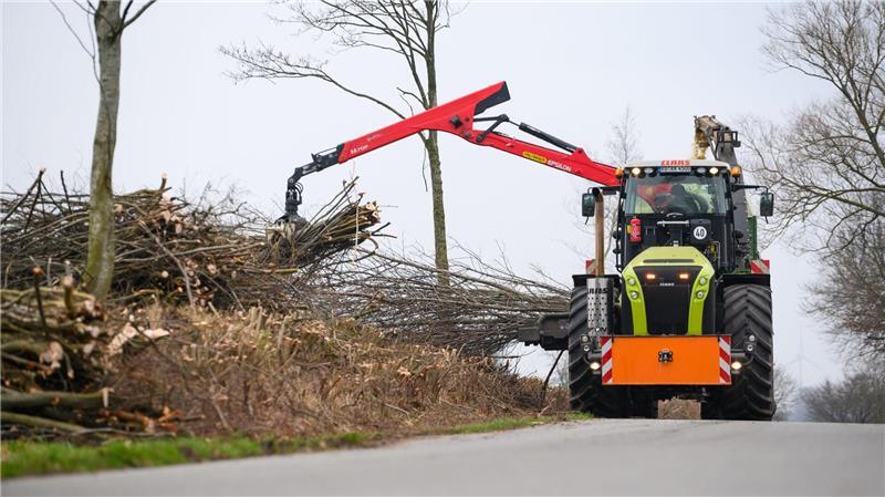 Um sie zu erhalten, müssen sie im Winter gepflegt werden. (Archivbild)