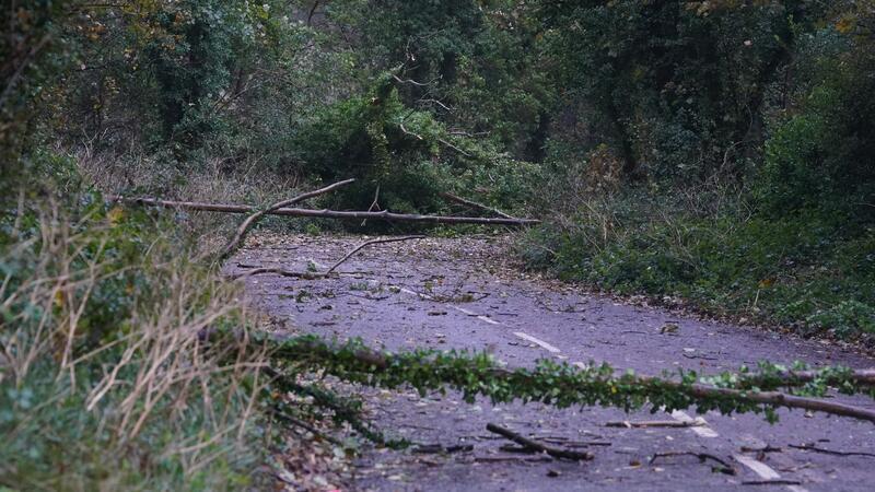 Orkantief trifft Westeuropa: Sieben Tote Umgestürzte Bäume und abgebrochene Äste blockieren eine Straße in Dover, Kent.
