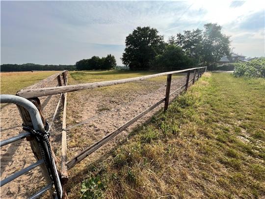 Umstritten: Der Landkreis Stade lehnt das geplante Baugebiet im Biotopkorridor am Brümmerkamp nördlich von Nottensdorf unter anderem aus Naturschutzgründen ab. Foto: Vasel