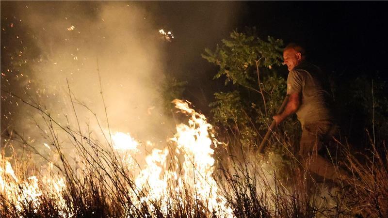 Waldbrände in Südeuropa – Menschen fliehen vor den Flammen Umweltschutzorganisation: Sizilien war in diesem Jahr stark von Bränden betroffen.