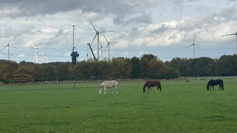 Premiere in Deutschland: Dow verschließt Salzkaverne mit neuer Methode Unauffällig und umgeben von Pflanzwällen und Pferdeweiden: Die K12 war von weitem kaum zu erkennen. Bald soll an ihrer Stelle eine Pferdeweide entstehen.