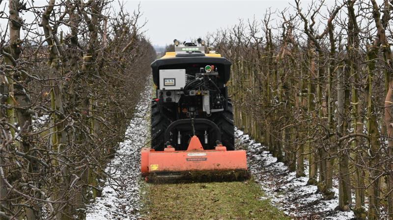 Premiere: Agrar-Roboter fährt durch Obstplantage im Alten Land Unaufhörlich fährt das autonome Fahrzeug durch die Reihen.