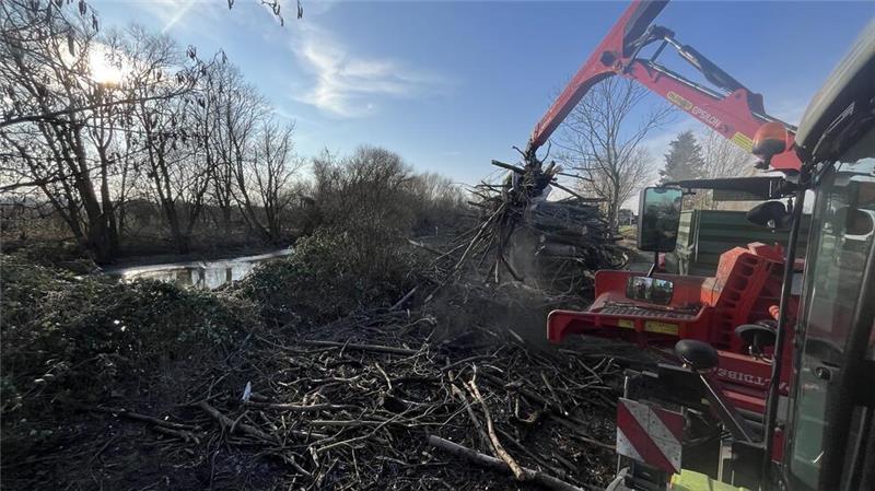 Biber schreddert Bäume im Borsteler Hafen Unaufhörlich wird der Biber des Lohnunternehmens Simon Mückenberger am Borsteler Hafen mit Totholz gefüttert.