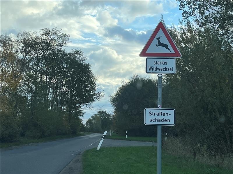 Wildunfall nach Schilderdiebstahl auf B73-Umleitungsstrecke Unbekannte haben auf dem Hagener Weg in Richtung Dollern die Tempo-50-Schilder abgeschraubt und gestohlen. Foto: Vasel