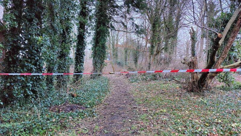 Unbekannte haben in dem Waldstück 20 Bäume angesägt.