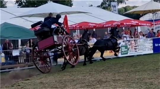 Unfall bei der Tarmstedter Ausstellung: Plötzlich fiel eine Kutsche um.