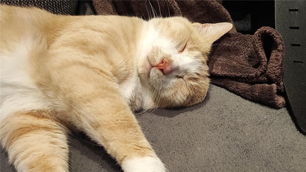 "Unser Opa Barny", schreibt Carolin Klein-Krichel bei Facebook.