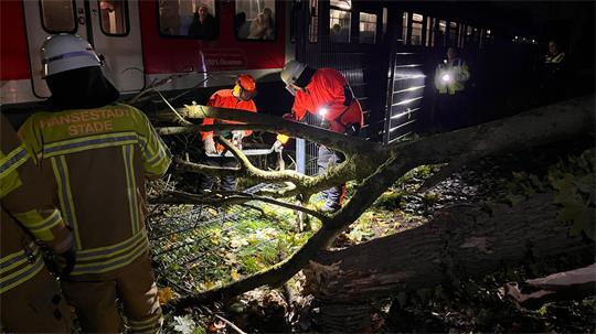 Unter Beobachtung der Fahrgäste zerkleinert die Feuerwehr den umgefallenen Baum. 