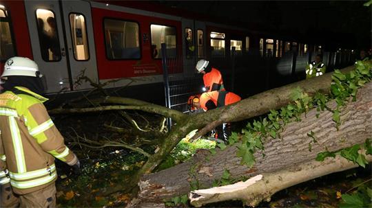 Unter Beobachtung der Fahrgäste zerteilt die Feuerwehr den umgefallenen Baum mit der Säge.