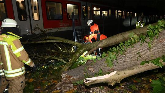 Unter Beobachtung der Fahrgäste zerteilt die Feuerwehr den umgefallenen Baum mit der Säge.