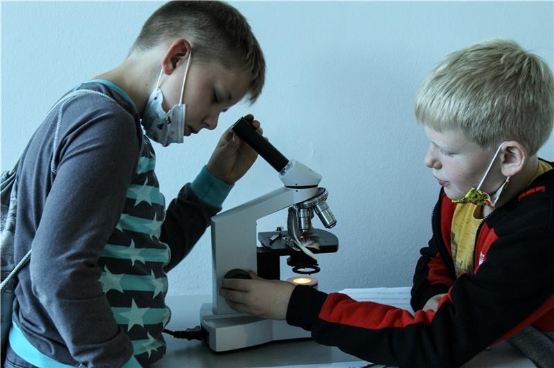 Unter dem Mikroskop untersuchen die Schüler die Eigenschaften von Vogelfedern. Foto: Jothe/Natureum