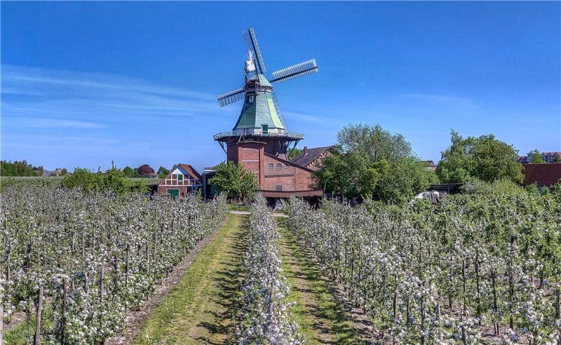 Unter den Flügeln der Twielenflether Mühle wird am 10. Juni gefeiert. Foto Cordes