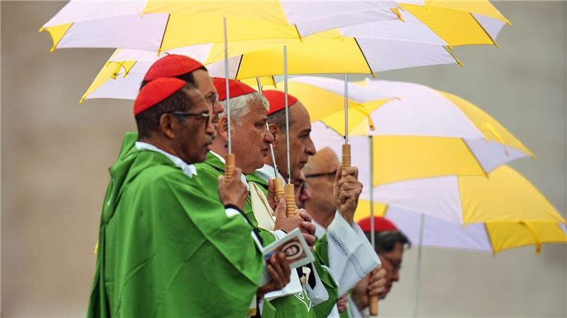 Unterm Schirm - Kardinäle feiern mit Papst Messe für Migranten und Missionare