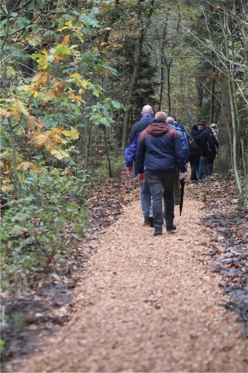 Das gibt es auf dem Erlebnispfad in Oldendorf zu entdecken Unterwegs auf schmalen Pfaden.