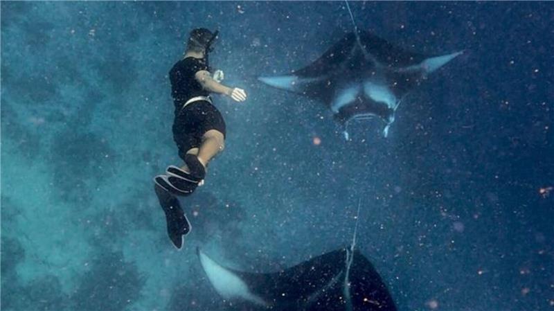 22-Jähriger aus Cuxhaven teilt Reisetipps – und erreicht damit Millionen Menschen Unvergesslich: Tauchen mit den majestätischen Manta-Rochen.