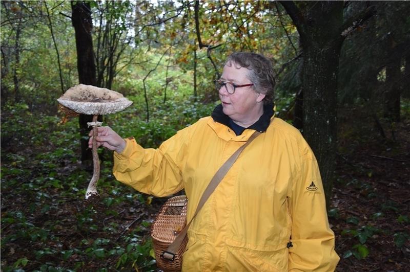 Uta Kappel ist seit frühster Kindheit von den Pilz-Schönheiten fasziniert.