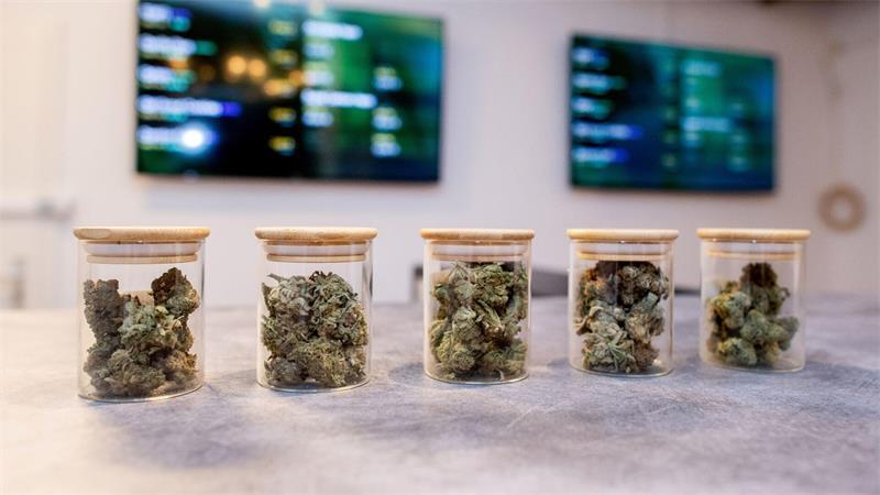 Vereine dürfen Cannabis an ihre zahlenden Mitglieder abgeben. (Archivbild)
