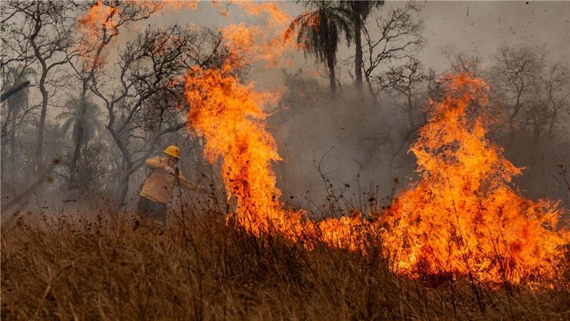 Amazonas verliert in 40 Jahren Fläche größer als Spanien Verheerende Waldbrände herrschten im Pantanal. (Archivbild)