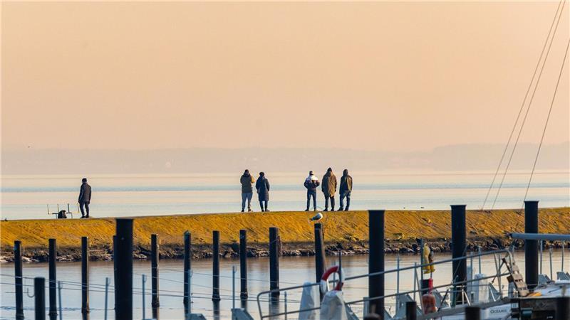 Vermutlich ist das Tier Heringsschwärmen in die Ostsee gefolgt. 