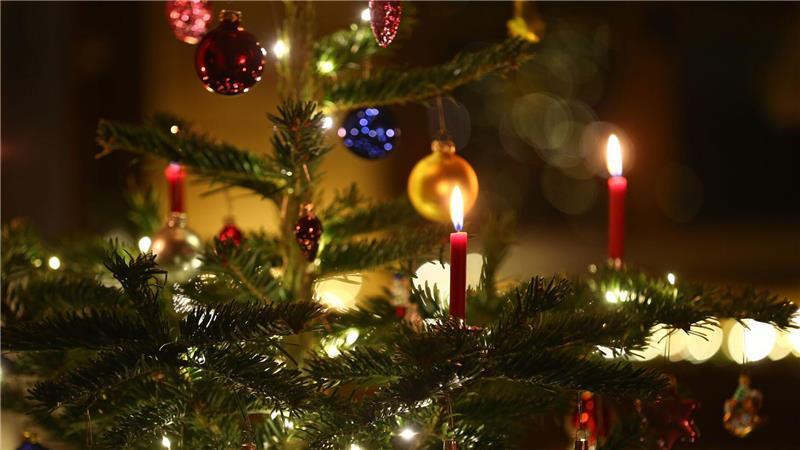 Verpackte Geschenke liegen in einem Wohnzimmer unter einem festlich geschmücktem Weihnachtsbaum.