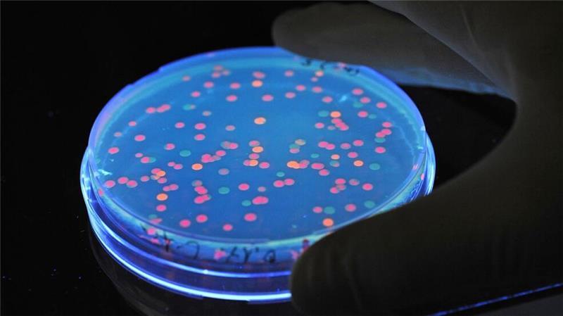 Verschiedene Bevölkerungsgruppen haben ein unterschiedlich hohes Vertrauen in Forscher. (Archivbild)