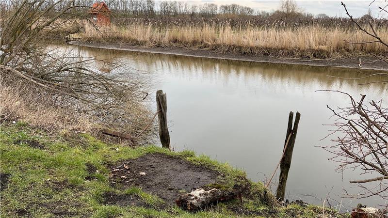 Verschlickt: Hafen-Wettern und Borsteler Binnenelbe sind ein wichtiger Wasserspeicher.