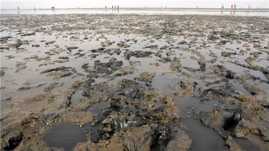 Verschlickungen lagern sich immer wieder an unterschiedlichen Orten auf dem Sandwatt vor Cuxhaven ab. Für Kritiker ein Nachweis für die Folgen der Elbvertiefung. Archivfoto: Koppe