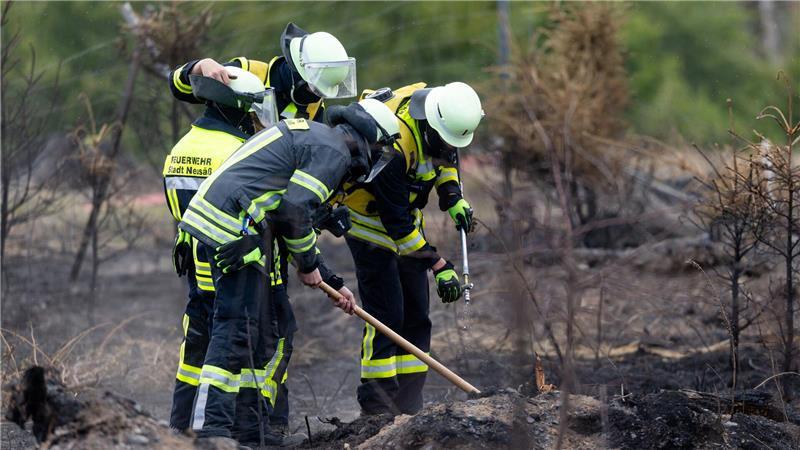 Katastrophenfall nach Waldbrand in Thüringen aufgehoben Versteckte Glutnester werden die Feuerwehrleute noch einige Tage nach dem Waldbrand auf der Saalfelder Höhe beschäftigen.