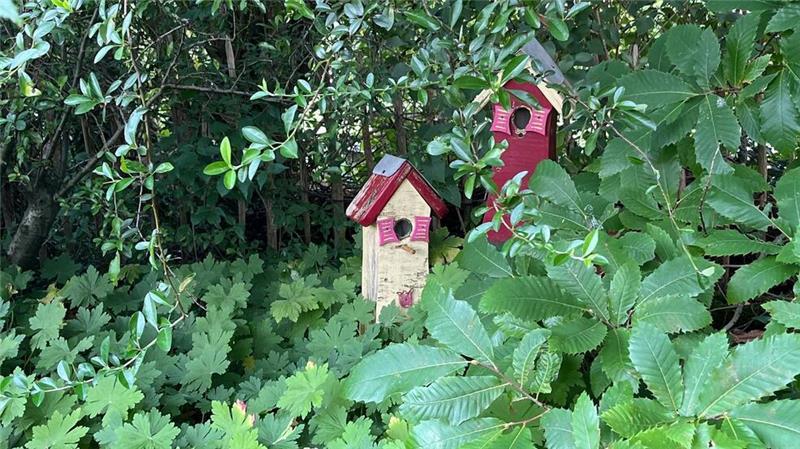 Versteckte Vogelhäuschen im Garten der Familie Tomforde.