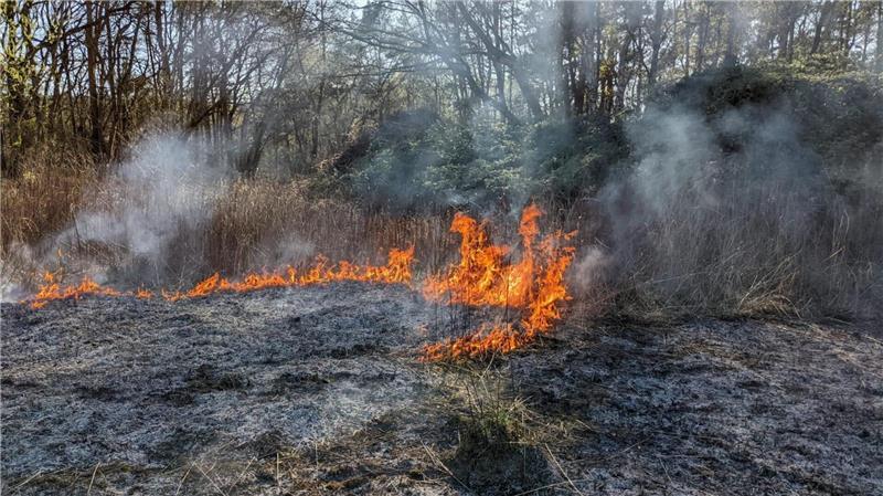 „Verzichten Sie auf den Gasbrenner in der Nähe von Hecken und anderen trockenen Pflanzen“, ist der eindringliche Appell der Neu Wulmstorfer Feuerwehr am Samstag.