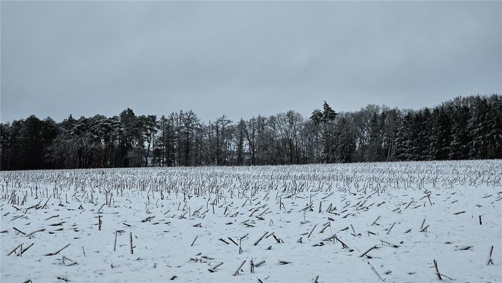 Via Facebook hat "Sabrina Nina" dieses Winterfoto mit uns geteilt.