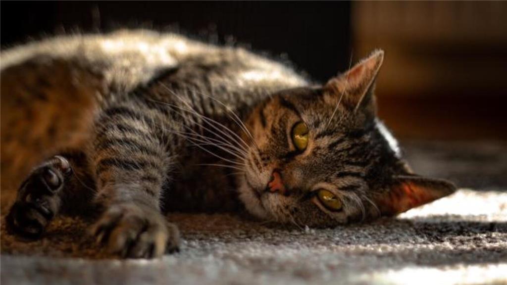 Via Instagram erreicht uns dieser Schnappschuss von Fabian: "Das hier ist Hanna,...