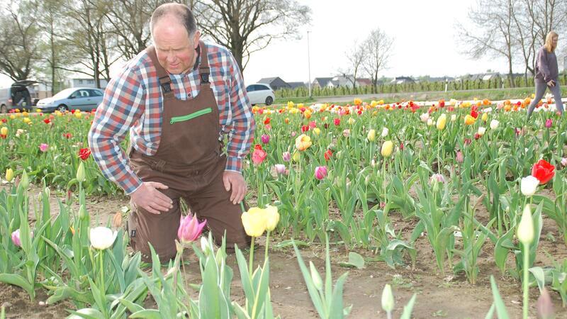 Vieh- und Blumenzüchter Heinrich Dammann