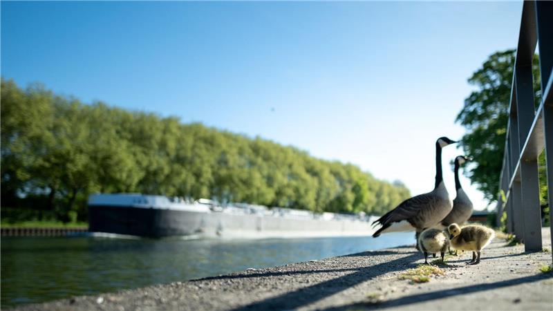 Viel Sonne und Temperaturen über 20 Grad sind in den nächsten Tagen zu erwarten. 