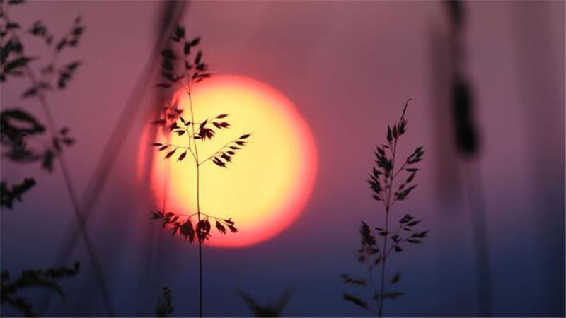 Viel Sonnenschein, warme Temperaturen prägen die kommenden Tage im Kreis Stade (Symbolbild).