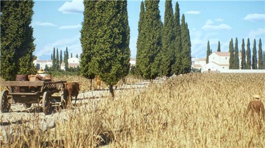 Vielbefahrene Straßen waren oft gepflastert, wie in der antiken Stadt Timgad in Algerien