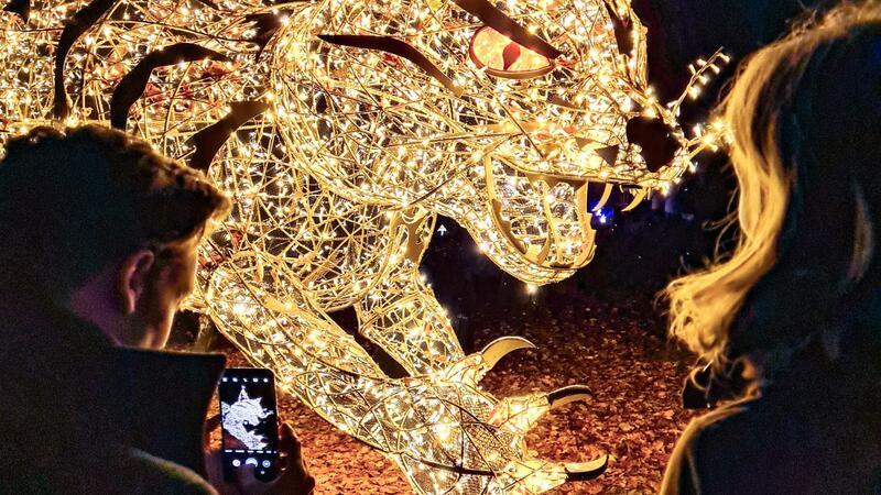 Wildpark Schwarze Berge installiert für Weihnachtszeit neues Highlight Viele Fotopoints bei Lumagica Schwarze Berge.