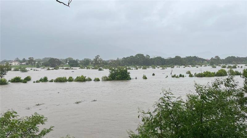 Rekord-Regen in Australien: Hochwasser lockt Krokodile an Viele Haushalte haben keinen Strom, auch Schulen blieben geschlossen.