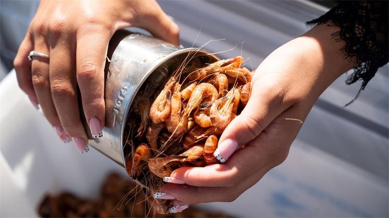 Viele Krabbenliebhaber kaufen die kleinen Nordseegarnelen direkt vom Kutter.