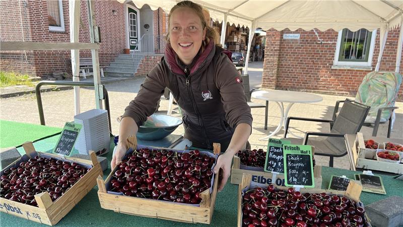 Viele Obstbauern vermarkten ihre Kirschen wie Meta Hauschildt aus Westerjork direkt - am Stand oder im Hofladen.