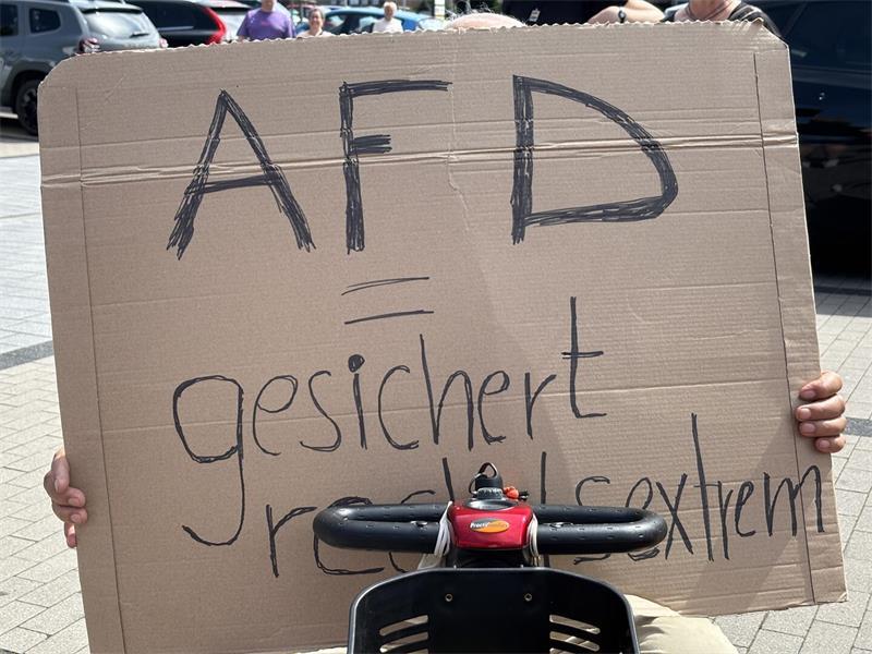 Lieber bunt statt braun: Horneburg setzt ein Zeichen für Vielfalt Viele Teilnehmer kamen mit selbst gemalten Plakaten nach Horneburg.