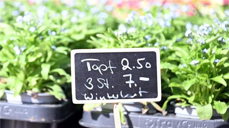 Inflationsrate sinkt auf 2,2 Prozent - Lebensmittel teurer Viele Verbraucher spüren die gestiegenen Preise im Geldbeutel (Archivbild)