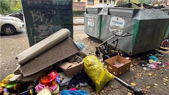 Viele der Befragten fordern Überwachung an Altpapier- und Altglascontainern.