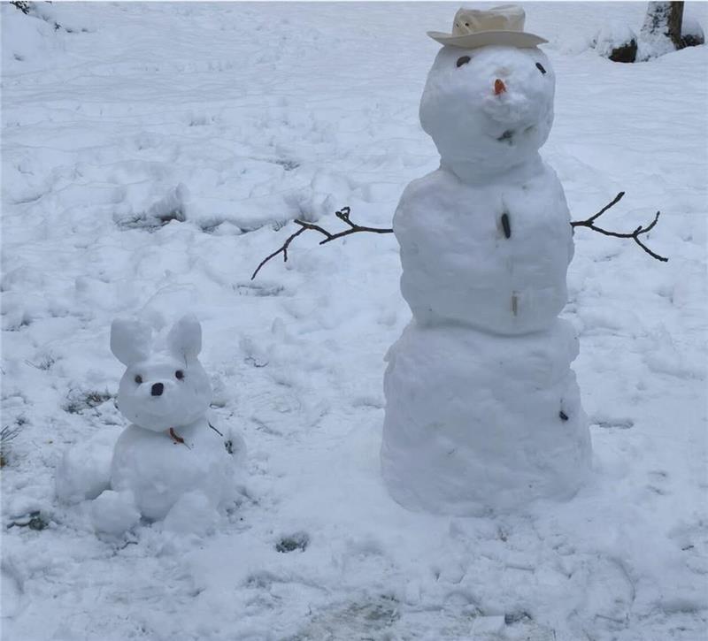 Viele gingen am Wochenende mit ihrem Hund spazieren. Das galt auch für Schneemänner und Schneehunde.
